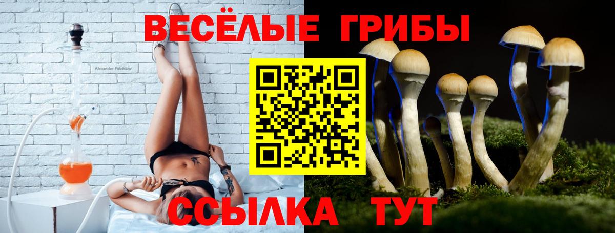 Гусиноозёрск  Галлюциногенные грибы GOLDEN TEACHER  Вход с VPN 